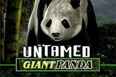 Untamed Giant Panda สล็อตโจ๊กเกอร์ ดาวน์โหลด Slots Joker