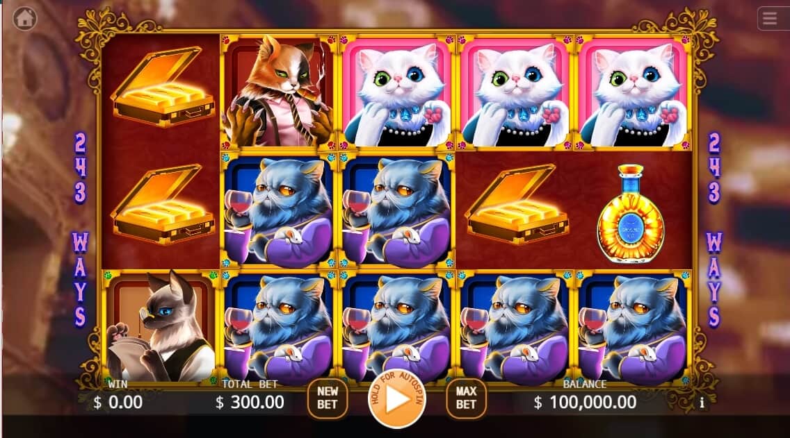 Meowfia KAGaming joker slot