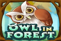 Owl In Forest KAGaming joker123