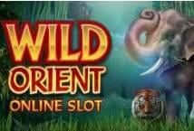 Wild Orient MICROGAMING joker123