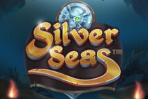 Silver Seas MICROGAMING joker123