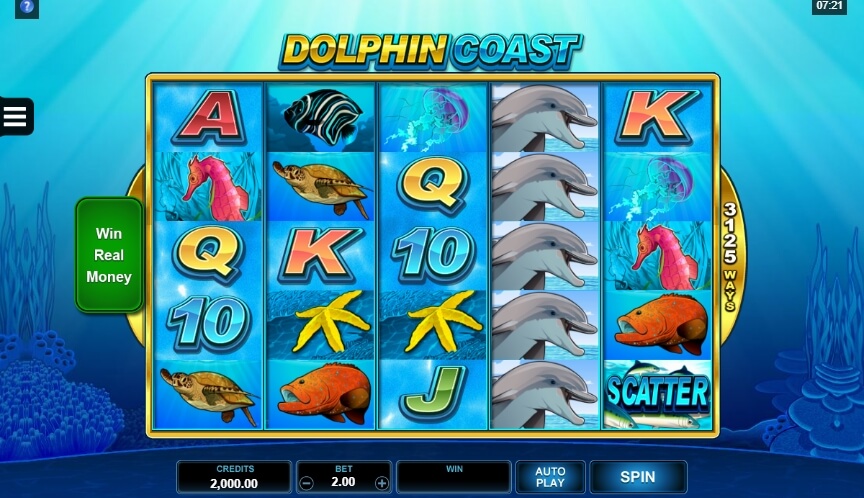 Dolphin Coast MICROGAMING joker slot