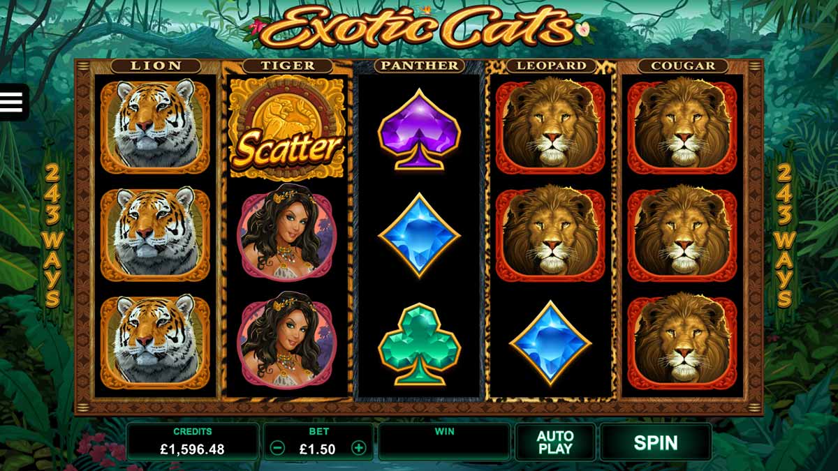 Exotic Cats MICROGAMING สล็อต joker123