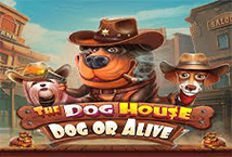 https://www.joker123net.games/pragmatic-play/the-dog-house-dog-or-alive/